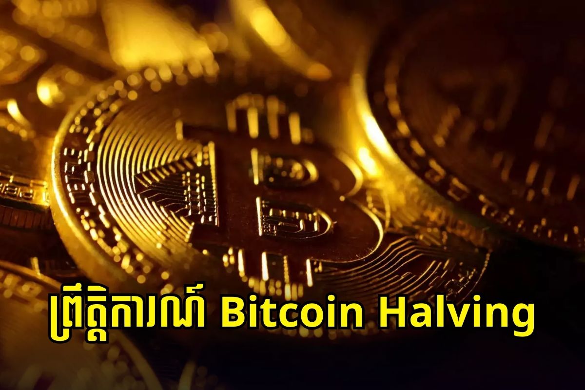 Bitcoin Halving ធ្វើឱ្យ​ BTC ឡើង ឬចុះ?